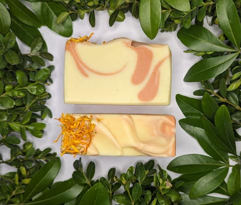 Photo by heartcompassbotanicals